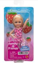 Opakowanie Barbie Family & Friends Doll