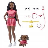 Opakowanie Barbie Jednakowa stylizacja Lalka i piesek - Paski