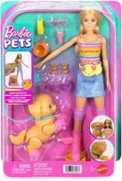 Opakowanie Barbie na rolkami i pieskiem