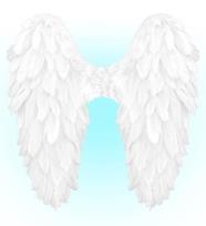 Opakowanie Białe skrzydła naturalne pióra