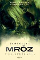 Okładka książki Cienie pośród mroku wyd. kieszonkowe