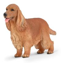Opakowanie Cocker Spaniel