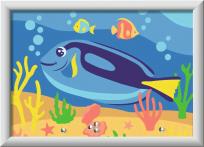 Opakowanie CreArt for Kids Colorful Doctorfish