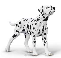 Opakowanie Dalmatyńczyk