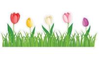 Opakowanie Dekoracja wiosenna - Tulipany na trawie 4el