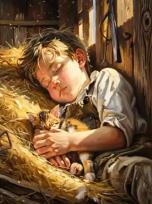 Opakowanie Diamentowa Mozaika Chłopiec śpiący na sianie z kotkiem NO-2003010