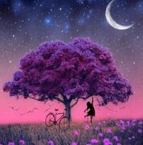 Opakowanie Diamentowa Mozaika Drzewo fioletowe- rowerem w świat magii NO-1005273