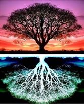 Opakowanie Diamentowa Mozaika Drzewo i odbicie NO-2001537