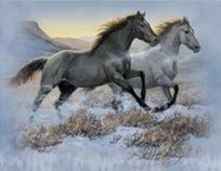 Opakowanie Diamentowa Mozaika Konie czarny i biały galopujące przez step NO-2000645