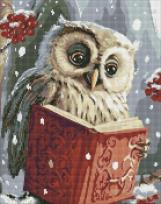 Opakowanie Diamentowa mozaika - Sprytna sowa 40x50cm