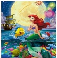 Opakowanie Diamentowa Mozaika Syrenka w morzu NO-1008521