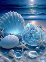 Opakowanie Diamentowa Mozaika Wybrzeże muszelki białe o zmierzchu NO-2001389