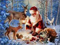 Opakowanie Diamentowa Mozaika Zima Mikołaj w lesie ze zwierzętami NO-2000887