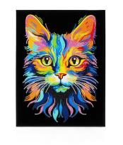 Opakowanie Diamond Dotz - Adults Flocked Neon Cat