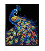 Opakowanie Diamond Dotz - Adults Flocked Neon Peacock