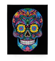 Opakowanie Diamond Dotz - Adults Flocked Neon Sugar Skull