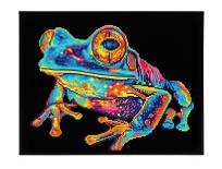 Opakowanie Diamond Dotz - Adults Flocked Neon Tree Frog