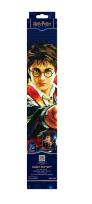 Opakowanie Diamond Dotz - Harry Potter