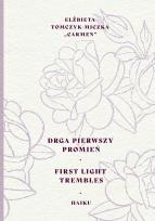 Okładka książki Droga pierwszy promień