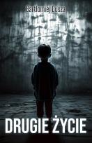 Okładka książki Drugie życie