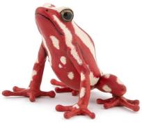 Opakowanie Drzewołaz karłowaty