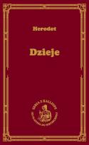 Okładka książki Dzieje