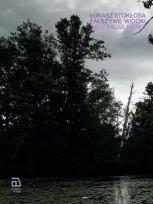 Okładka książki Fałszywe widoki