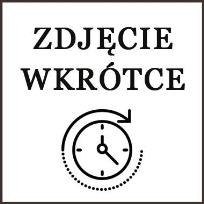 Opakowanie Fidget toy busters