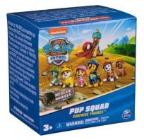 Opakowanie Figurka Psi Patrol 5cm mix