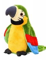 Opakowanie Gadająca Papuga Zielona Pluszowa