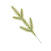 Opakowanie Gałązka do stroików