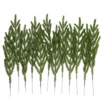 Opakowanie Gałązki cedru 35cm 12szt