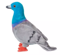 Opakowanie Gołąb miejski 20cm