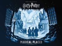 Opakowanie Harry Potter: Magical Places : A Paper Scene Book