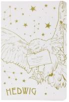 Opakowanie Harry Potter Notatnik A5 linia Hedwiga