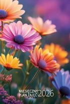 Opakowanie Kalendarz 2026 Miesięczny plan zajęć A4 MIX