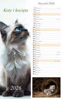 Opakowanie Kalendarz 2026 paskowy Koty