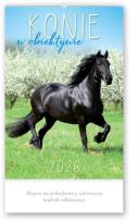 Opakowanie Kalendarz 2026 reklamowy Konie w obiektywie