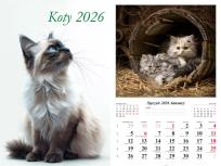 Opakowanie Kalendarz 2026 ścienny 13-k Koty