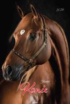 Opakowanie Kalendarz 2026 ścienny A3 Konie