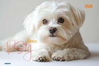 Opakowanie Kalendarz 2026 ścienny albumowy 28,5x20cm Psy