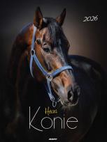 Opakowanie Kalendarz 2026 ścienny Konie