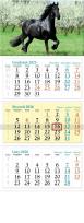 Opakowanie Kalendarz 2026 ścienny trójdzielny Koń