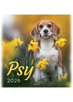 Opakowanie Kalendarz 2026 wieloplanszowy 33x33cm Psy