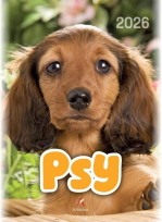 Opakowanie Kalendarz 2026 wieloplanszowy B4 Psy