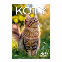 Opakowanie Kalendarz 2027 ścienny A4 Koty