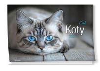 Opakowanie Kalendarz 2027 ścienny albumowy Koty