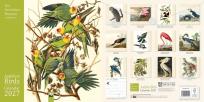 Opakowanie Kalendarz 2027 ścienny kwadrat Audubon Birds