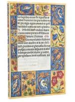 Opakowanie Kalendarz książkowy maxi 2026 Spinola Hours