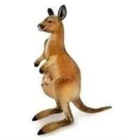 Opakowanie Kangur 45cm